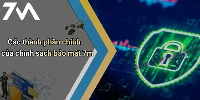 Các thành phần chính của chính sách bảo mật 7m