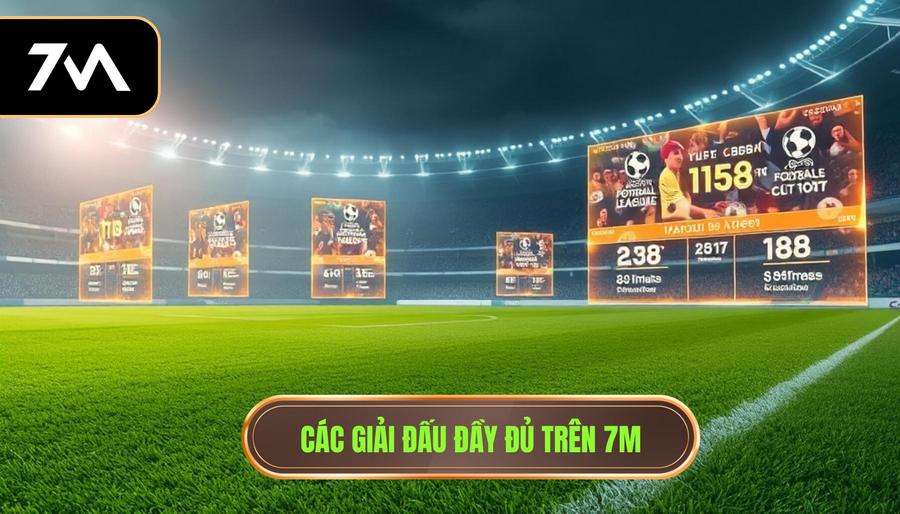 Các giải đấu đầy đủ trên 7m